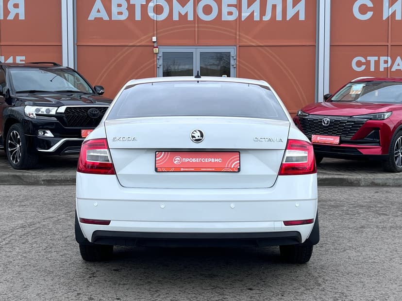 Skoda Octavia с пробегом, 2019 год, Волгоград, 1.6 бензин, Автомат - вид 6