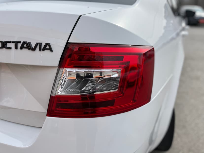 skoda-octavia-2019-1326-9