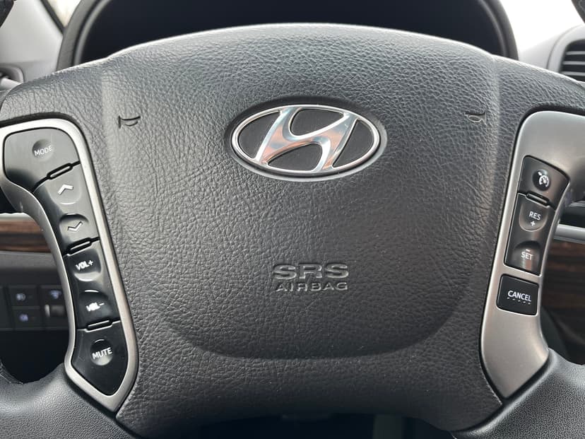 hyundai-santa fe-2010-1212-13