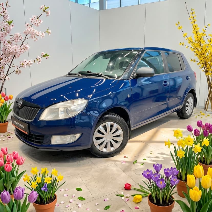 skoda-fabia-2013-1160-0