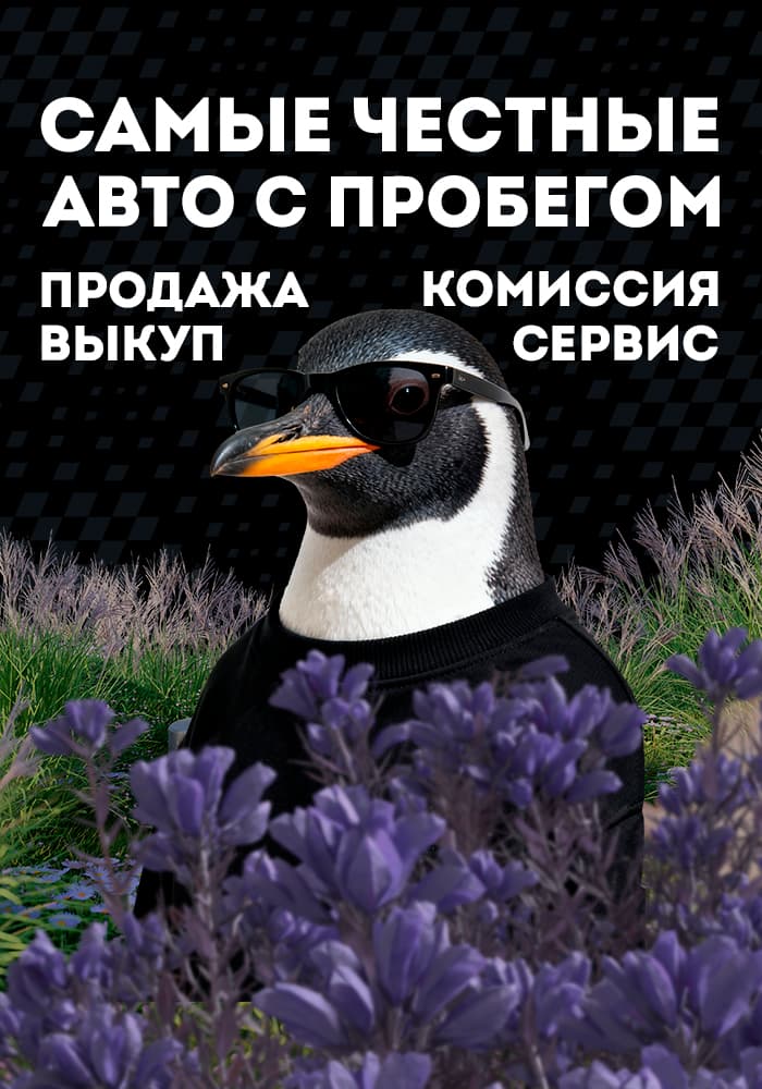 Пробегсервис